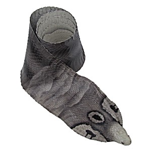 image of Genuine Tanned Cobra Snake Skin Head & Hide Natural Markings 100% Real Taxidermy