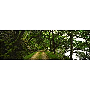 image of Lough Beagh Glenveagh Co Donegal Ireland Poster Print By the Irish Image Collection 44 X 14 - Large