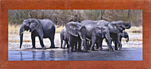 image of Elephants Drinking-pipmcg73063 Print 9\X24\ By Pip Mcgarry In a Affordable Canadian Walnut Medium