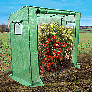 image of Sunrise 7X3X6 Portable Outdoor, Backyard Tomato Greenhouse For Summer / Winter (green)