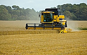 image of Laminated Poster Harvesting Threshing Harvest Wheat Poster Print 11 X 17
