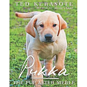 image of Pukka: The Pup After Merle