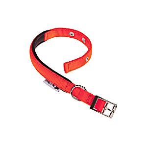 Ошейник ferplast daytona 15мм*35см, нейлон красный (8010690050041)