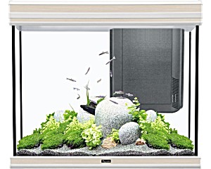 image of Aquarium Aquatlantis Fusion Column 70 2.0 Mit Led-beleuchtung, Filter, Heizer Ohne Unterschrank Eiche Creme