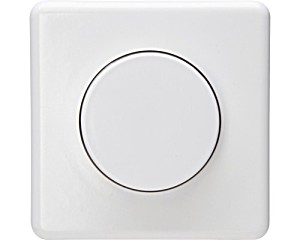image of Roth Lange Dimmer Aufputz 200 Watt Arktiswei