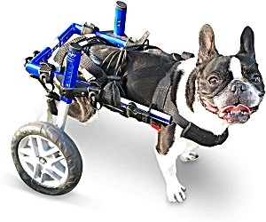 image of Vet-approved Dog Wheelchair For Small Dogs Back Leg Mobility
