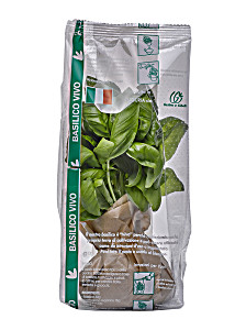 image of Basilico Bouquet