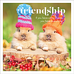image of Affirmations Publishing House Greeting Card - Friendship