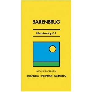 image of Barenbrug K3150PLT 50 LB. Kentucky 31 Tall Fescue Grass Seed