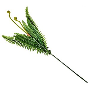 image of Fern Bunch With Fond Green 90CM