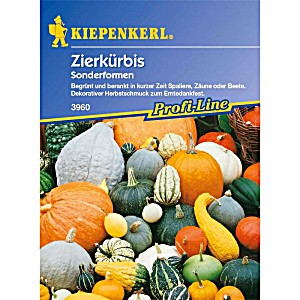 image of Zierkrbis Sonderformen | Zierkrbissamen Von Kiepenkerl