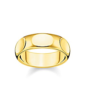 image of Thomas Sabo Ring Vergoldet Gr��e 58 TR2281-413-39-58
