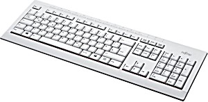 image of Fujitsu KB521 - Tastatur - Islandsk - Gr Marmor
