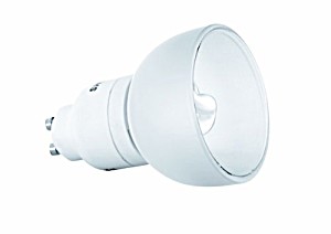 image of Paul Neuhaus Energiesparlampe Liluco 08192