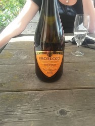 image of Allini Prosecco Treviso Vino Frizzante 2016