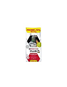 Versele-laga champion Plus ic + корм для разведения голубей 20кг (5410340110348)