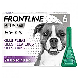 frontline plus website