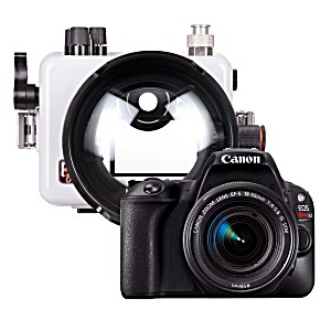 image of Ikelite DLM200 Underwater Housing and Canon Rebel SL2 Camera Kit